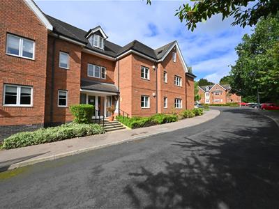 Picture 20
